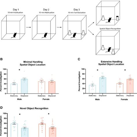 Sex Difference Characterization In Novel And Spatial Object