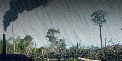 SSFP - Lluvia ácida: una consecuencia de la contaminación