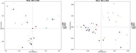 Beta β Diversity Analysis In The Microbial Community Of The Ileal