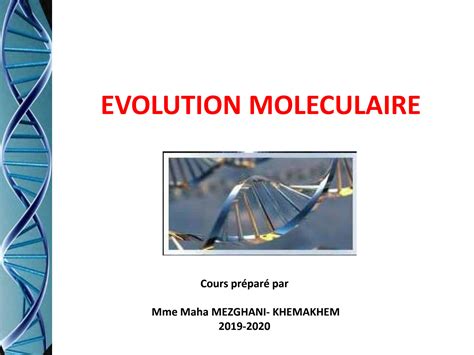 SOLUTION Evolution Mol Culaire Cours 1 La Theorie De L Evolution