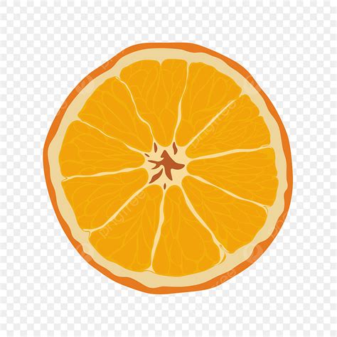 Naranja Cortada A La Mitad Png Dibujos Estacional Naranja La