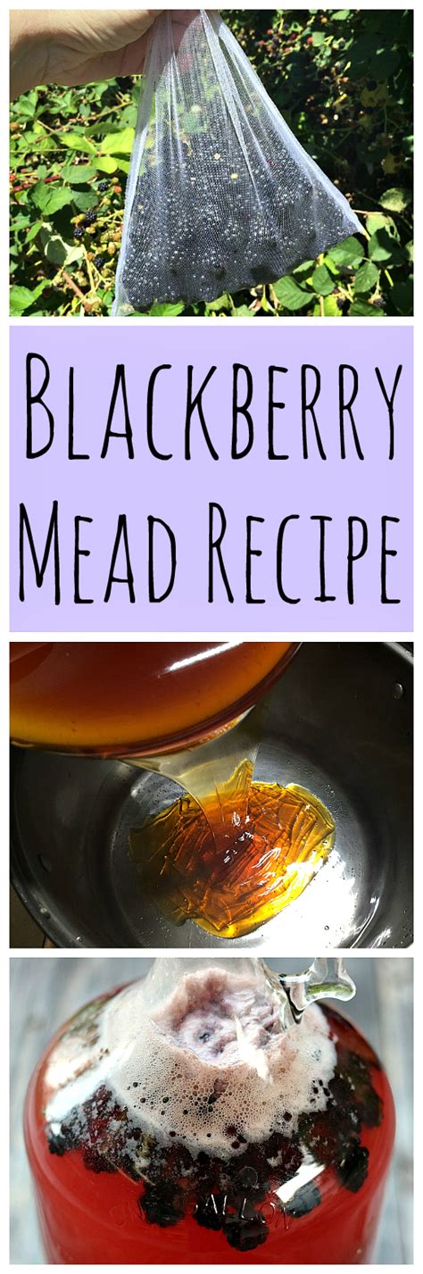 Blackberry Mead One Gallon Recipe Recipe Mead Recipe Mead Wine Mead