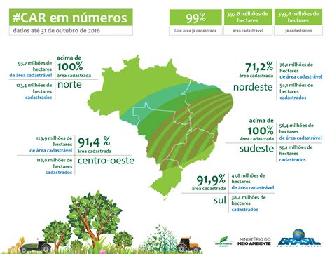 Desmatamento da Amazônia é o maior em oito anos WWF Brasil