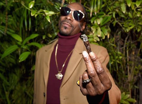 The Canadian marijuana industry is soaring high thanks to Snoop Dogg - Chart Attack