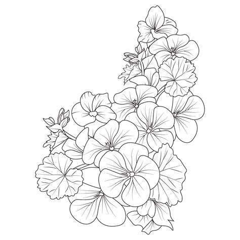 Geranium Flower Bouquet Pelargonium Geranium Geranium Drawing