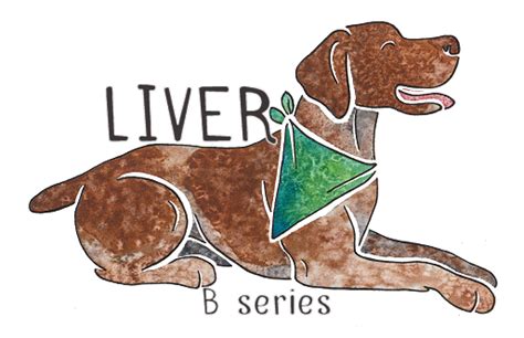 What Is A Liver Dog