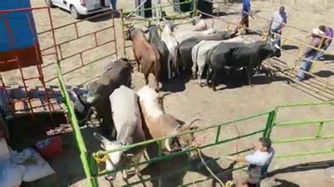 Destructores ARRIBANDO A SANTA CLARA MUNICIPIO DE PURUANDIRO MICHOACAN