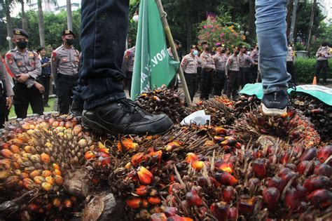 Benahi Tata Kelola Sawit Dari Hulu Ke Hilir