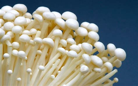 How To Cook Enoki Mushrooms Simple Easy To Do