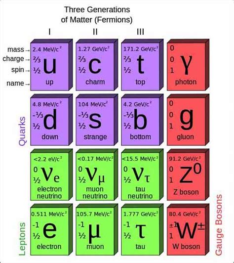 Standard Model Of Particle Physics Wallpaper