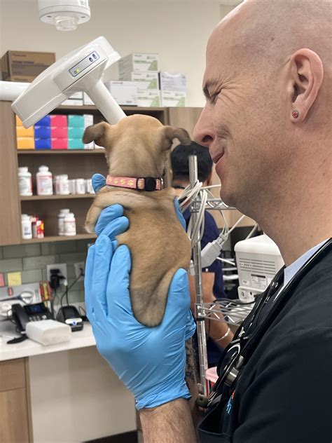 grand teton animal list 7