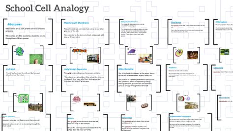 Cell Analogy Examples School