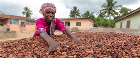 Our Holistic Approach To Gender Equity And Women’s Empowerment Cargill