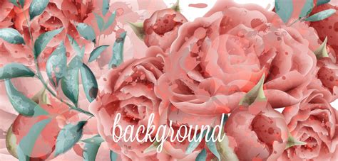 Rose Flowers Watercolor Background Vector Beautiful Vintage Pink