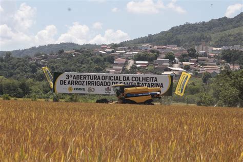 Scs Lan Ada Na Abertura Oficial Da Colheita Do Arroz News Sc