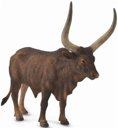 CollectA Ankole-Watusi Bull #88648 - Expansive Horns