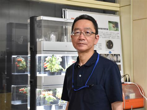 野菜はなぜ病気になるのか？ 病気の発生と対処法をわかりやすく解説【前編】｜マイナビ農業