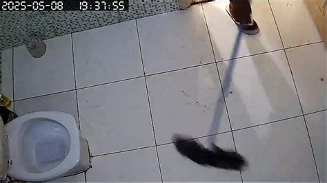 Chubby Neighbor Search Xvideos