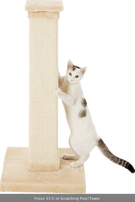 FRISCO 33 5 In Sisal Cat Scratching Post Cream Chewy