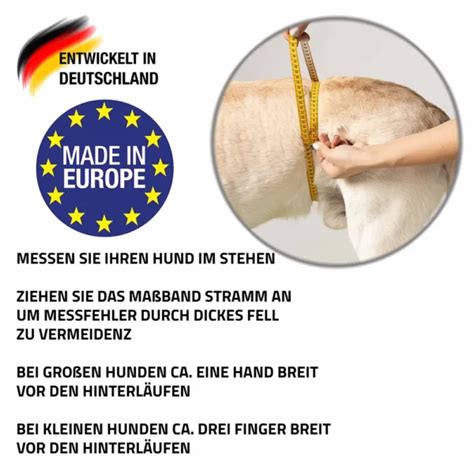 L Ufigkeitshose Und Inkontinenzhose F R Hunde Hier Kaufen