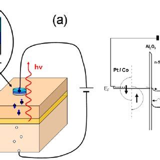 A Schematic Device Structure Of The SiGe Spin LED With The Co Pt