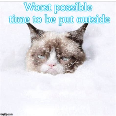 Grumpy Cat snow Memes - Imgflip