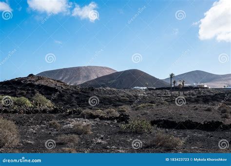 Volcanic Lanzarote Landscape Canary Islands Spain Stock Image Image