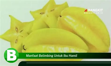 Ketahui Manfaat Belimbing Untuk Ibu Hamil Yang Bikin Kamu Penasaran