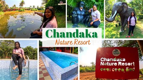 Chandaka Nature Resort Best Nature Camp In Bhubaneswar Odisha