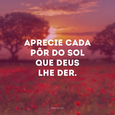 41 Frases Sobre O Sol Para Você Que Adora Os Dias De Verão Frases