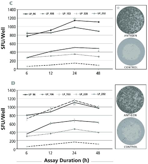 Kinetics Of The Ifn γ Recall Response By Th1 Cells The Legend To