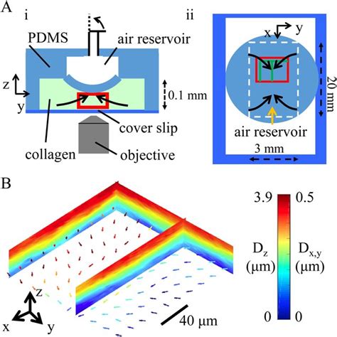 Three Dimensional Reflectance Traction Microscopy Reveals The Traction