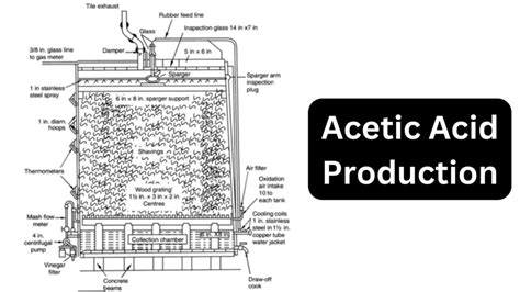 Acetic Acid Production Biology Notes Online