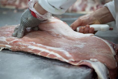 Semana De La Carne Porcina Su Consumo Es Una Opción Beneficiosa Para