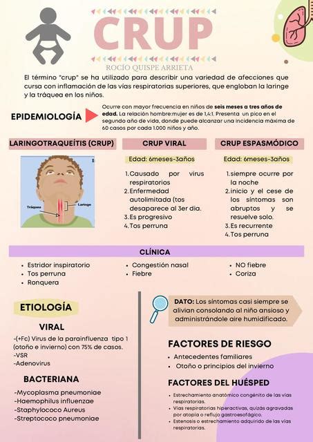 Pediatria Udocz