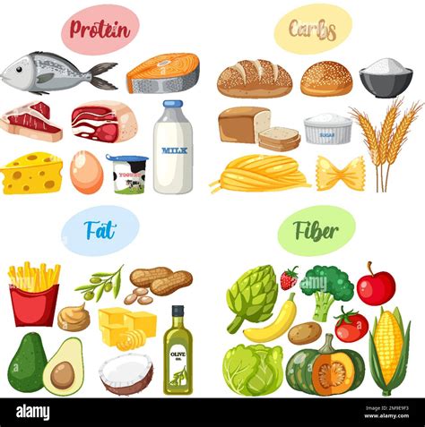 The Four Food Groups Illustration Stock Vector Image Art Alamy