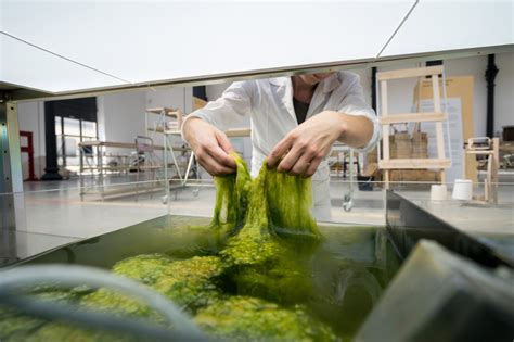 Dutch Designers Convert Algae Into Bioplastic For 3d Printing 3d Printing Business 3d Printing