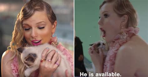 Taylor Swift Meeting Her Cat Benjamin Button On Me Video Popsugar