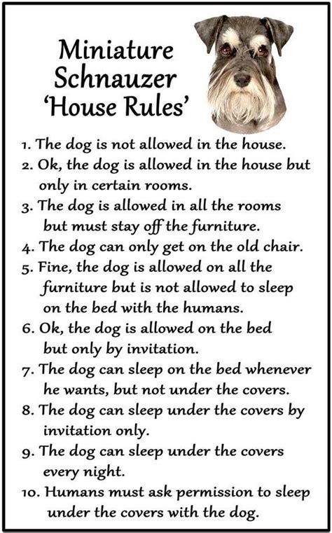 A Dogs House Rules With The Words Miniature Schnauzer