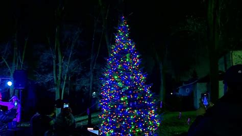 Boston Square Neighborhood Gathers For Tree Lighting