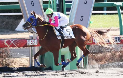 ＜中山5r＞新馬戦を制したトウカイラメール（撮影・村上 大輔） ― スポニチ Sponichi Annex ギャンブル