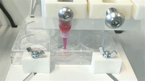 3D Bioprinting In Multi Well Structure Regemat 3D Bioprint YouTube