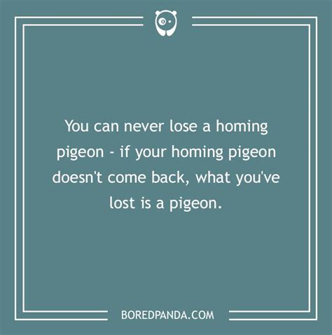 Funny Two Line Joke Homing Pigeons Terrible Jokes Best Memes Ever