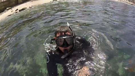 La Jolla Cove Free Dive Session Youtube