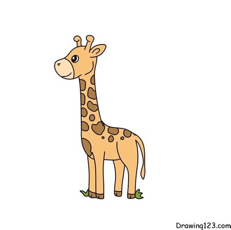 How To Draw A Giraffe Step By Step For Kids