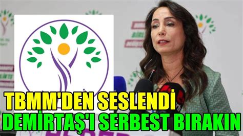 TBMM den seslendi Demirtaş ı serbest bırakın YouTube