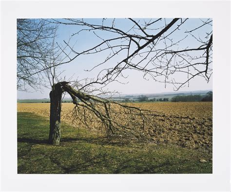 Tranchée Bois de Bouvigny Notre Dame de Lorette Artois Nord Pas de