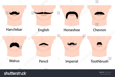 368 Toothbrush Mustache Images, Stock Photos & Vectors | Shutterstock