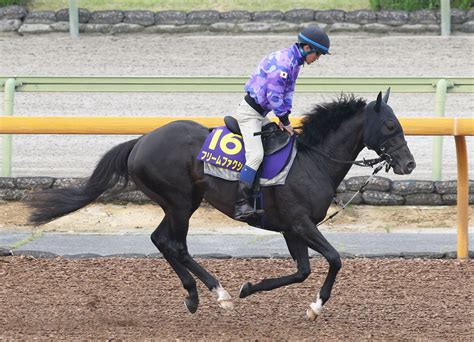 【日本ダービー・戸田の特注馬】フリームファクシは好天なら反撃必至 陣営「落ち着き払って調教できている」 スポーツ報知