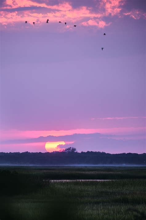 Serengeti Sunset by the Bay – obBLOGato